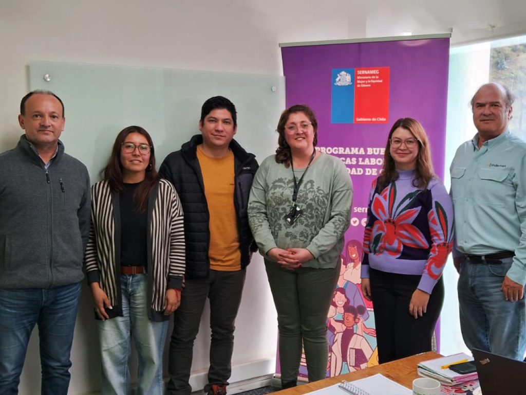 Tres instituciones de la región de Valparaíso constituyeron sus Comités de Buenas Prácticas Laborales con apoyo de SernamEG
