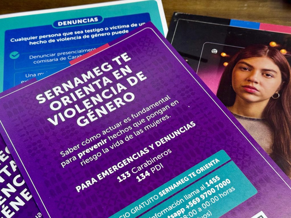 Con el SernamEG como querellante: Condenan a ocho años de cárcel a autor de femicidio tentado en Coyhaique