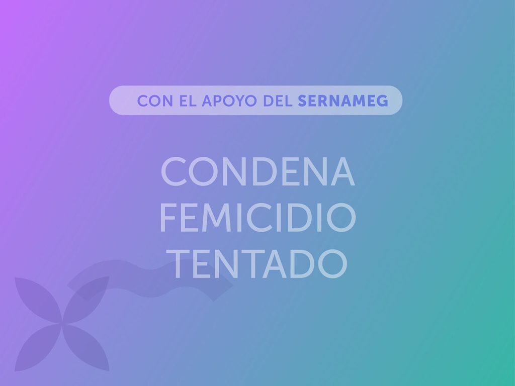 SernamEG Ñuble logra condena de 20 años de cárcel por caso de violencia de género en San Carlos
