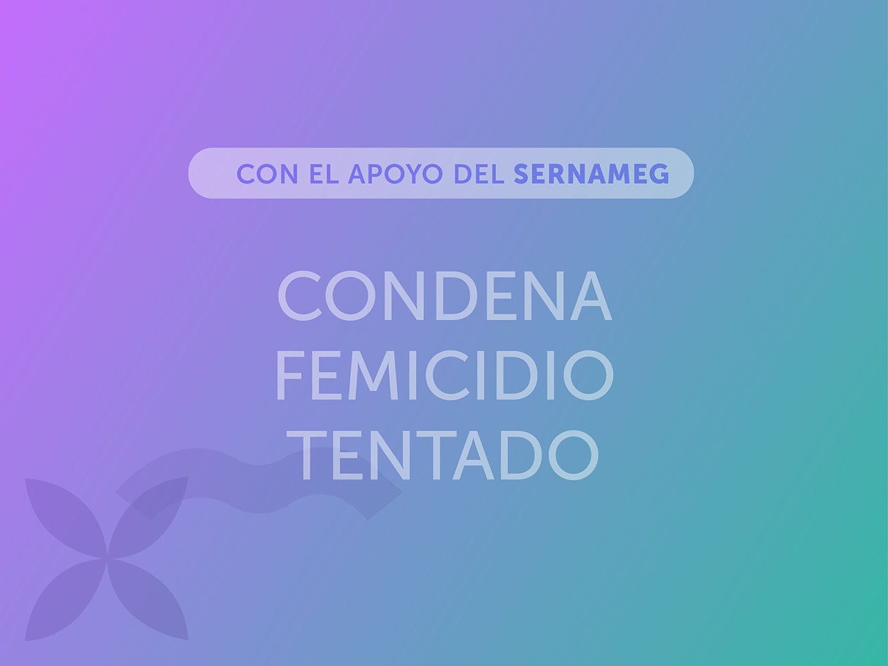 SernamEG Ñuble logra condena de 20 años de cárcel por caso de violencia de género en San Carlos