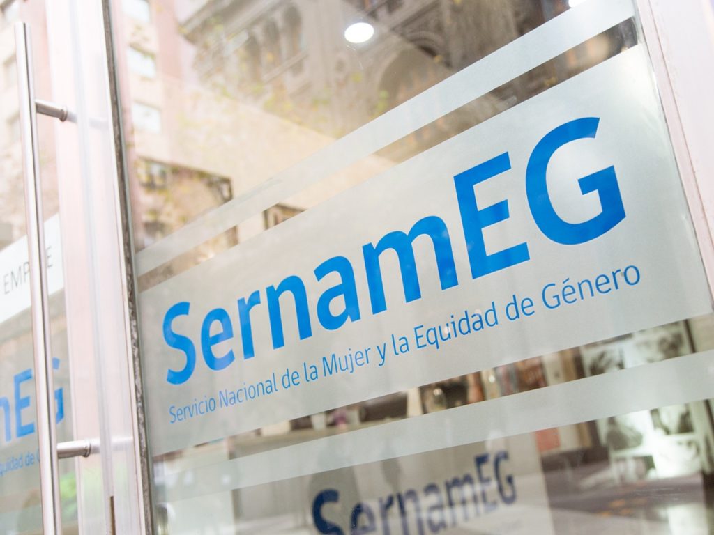SernamEG RM interpone querella de oficio por femicidio en Buin