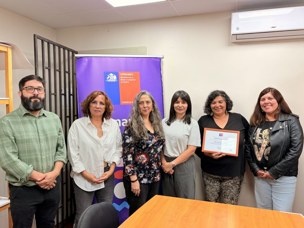 Centro Cultural de Promoción Cinematográfica de Valdivia egresa del Programa de Buenas Prácticas Laborales con Equidad de Género 2025