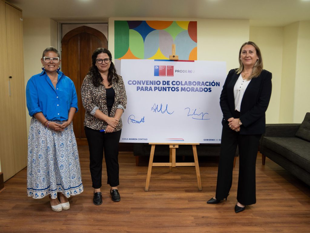 SernamEG junto con MinMujer y Prodemu firma acuerdo para consolidar puntos morados en todo Chile