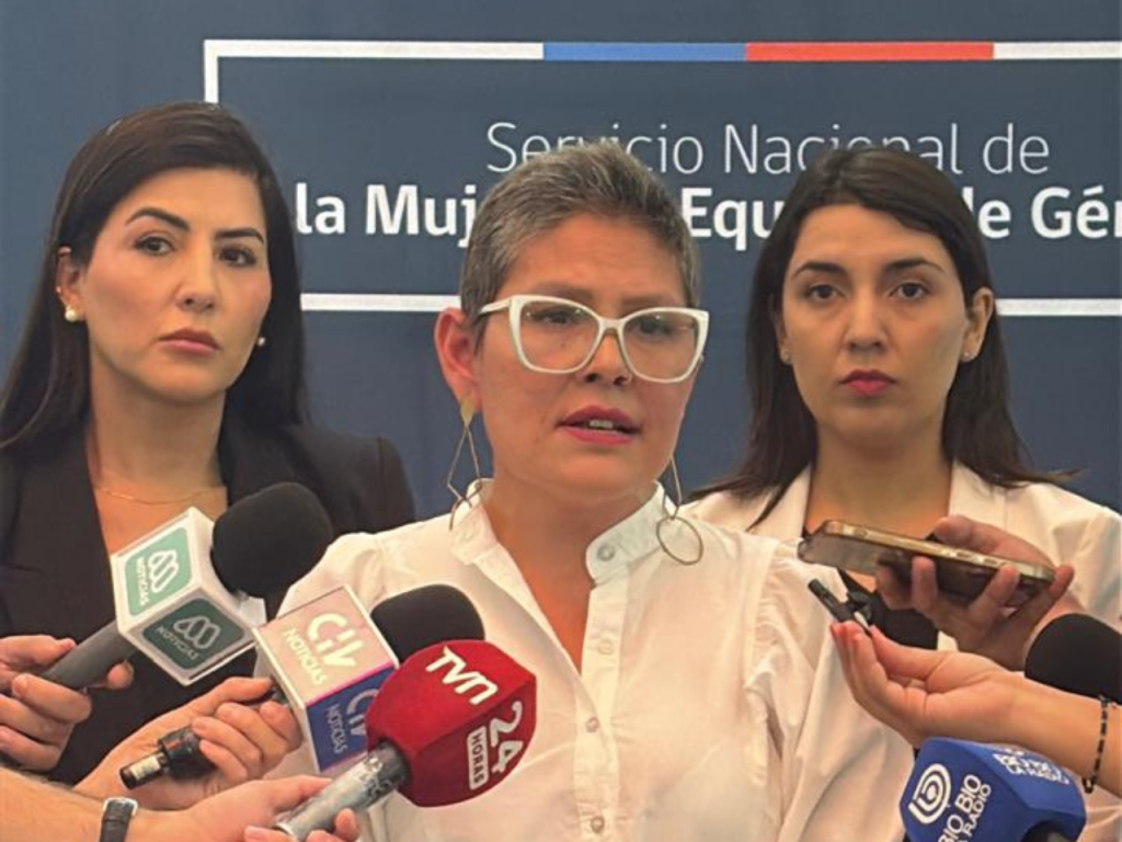 Gobierno presenta primera querella por femicidio consumado tras entrada en vigencia del reglamento de la Ley Integral