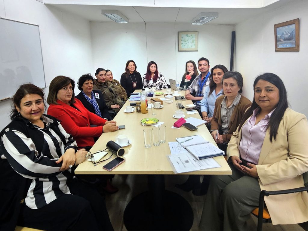 Sesiona Subcomisión de Coordinación Intersectorial de Femicidios de Magallanes