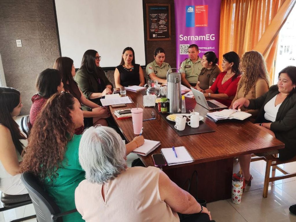 Subcomisión de Femicidios de Tarapacá realiza su primera sesión de 2026 enfocada en la prevención y reparación