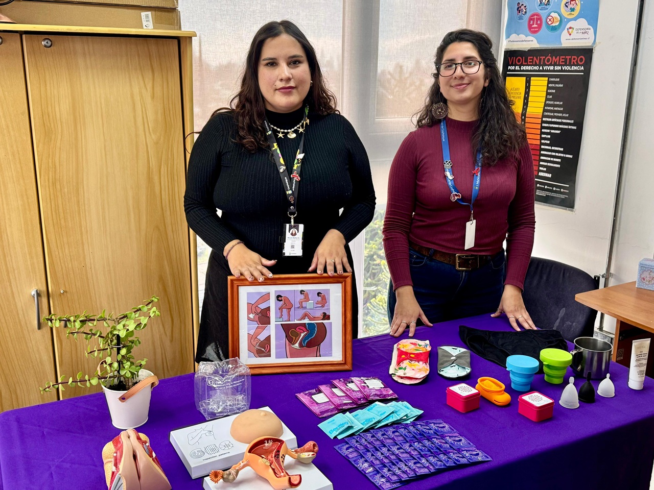 Programa Mujeres, Derechos Sexuales y Reproductivos del SernamEG ofrece cursos gratuitos con certificación en Coyhaique