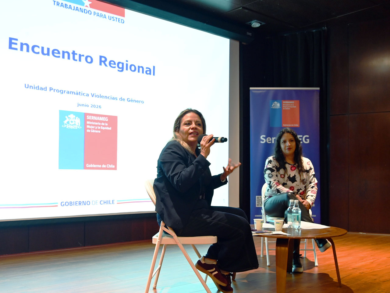 Profesionales que abordan la violencia de género se reunieron en Antofagasta en encuentro regional